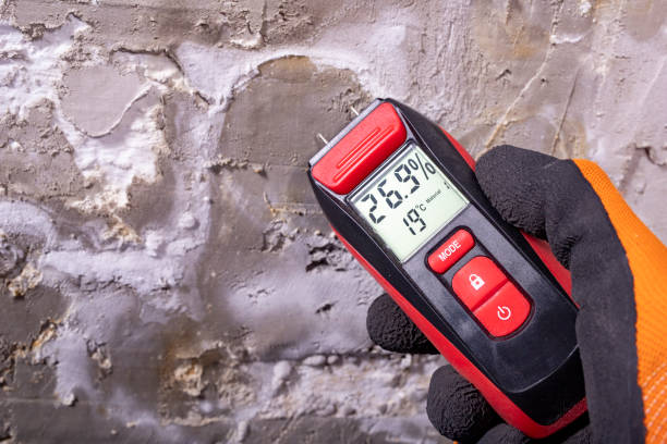 Crawl Space Mold Removal in Northwood, IA