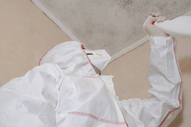 Water Damage Restoration in Northwood, IA